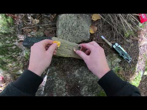 The Procamptek Fast Fire Stick