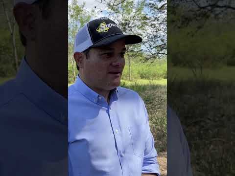 Proyecto solar PROLACSA