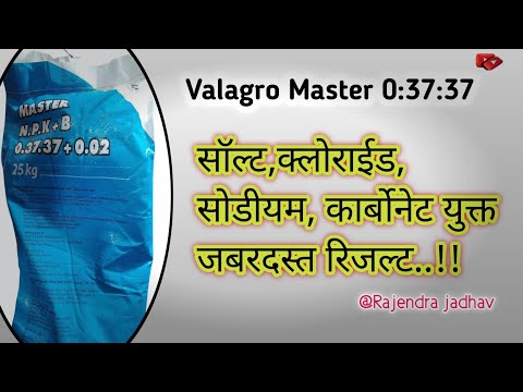 Valagro 0 37 37 //Master 0 37 37 fertilizer /#npk #tomato #farming #agriculture #farmer #tomatoes