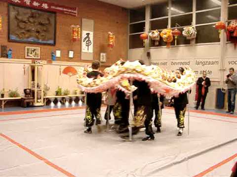 Dragon Dance at the Chinese New Year 2011 Celebration in Groningen, Holland