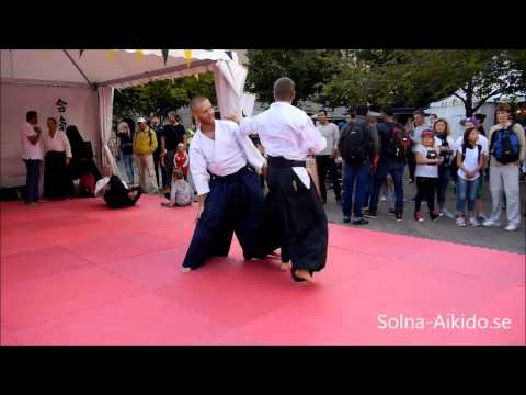 Aikido-WeAreStockholm.2014.vid5a 720p
