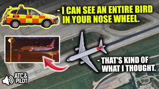 Bird strike CAUSES PLANE TO BE TOWED from MSP tarmac! | American Airlines Flight 458