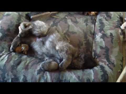 Floriánek spinká :-)