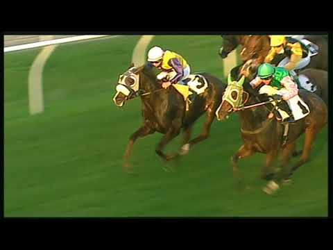 Galoppo 23/11/2020 - 6ª corsa