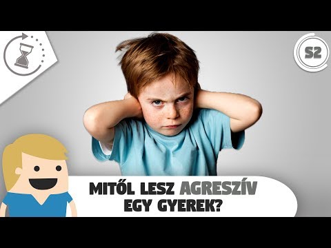 Szivfereg kialakulasa