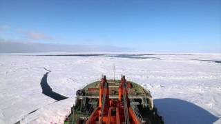 Arctic Expedition 2015 to Severnaya Zemlya Archipelago. Russia.
