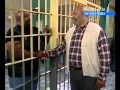 Will And Uncle Phil Get Out Of Jail
