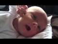 Gavin Wiggles