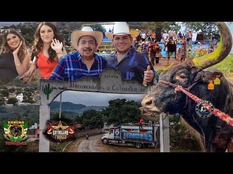 Rancho los temibles llega con sus torazos en Cofradía de Camotlán jalisco 2023