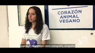 Entrevista a Corazón Animal Vegano