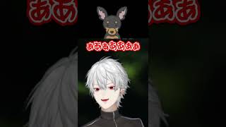 かまちぃちぃなわんさんに襲われる葛葉【葛葉/ワンさん/にじさんじ切り抜き】【#shorts】