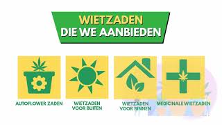 Autoflower wietzaden buiten online
