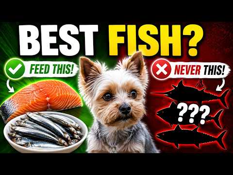 Best Fish for Dogs (And 3 Fish You Should Never Feed)