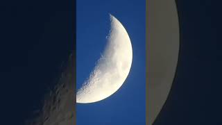 Download lagu Bulan Kesiangan #moon #halfmoon #art #videography mp3 Download lagu Bulan Kesiangan #moon #halfmoon #art #videography mp3