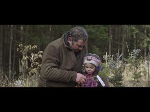 download lagu mp3 mp4 Holz Erde Fleisch, download lagu Holz Erde Fleisch gratis, unduh video klip Holz Erde Fleisch