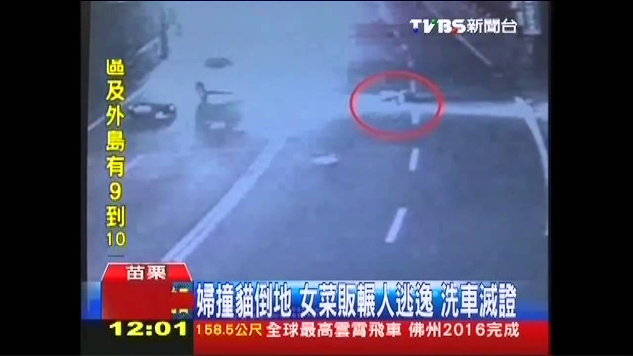 婦撞貓倒地!女菜販輾人逃逸 洗車滅證