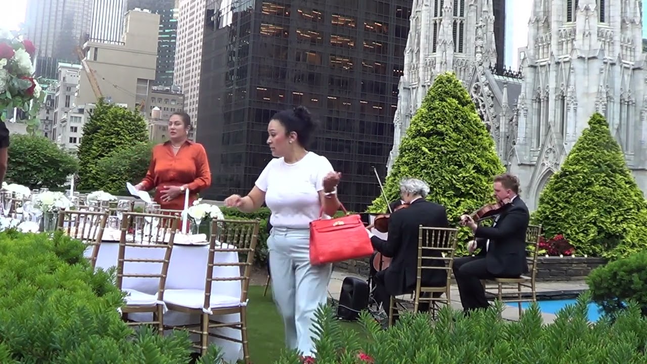 Promotional video thumbnail 8 for Xinou Wei Strings