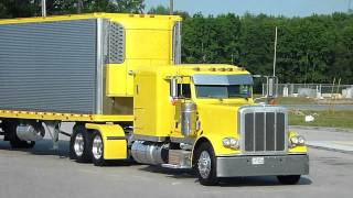Yellow Peterbilt and reefer Thermo King Yellow - Show of truck and trailer