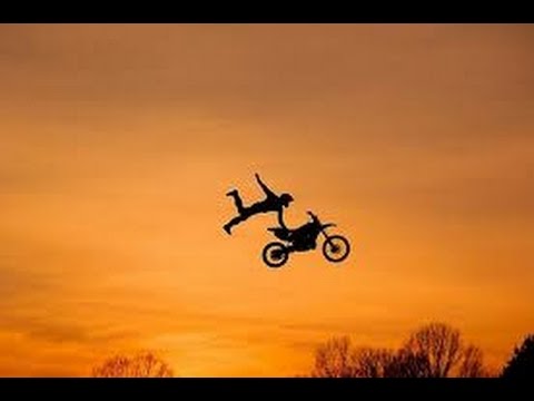 Le Zap De Spion N°366