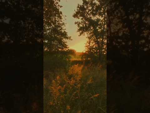 #edits #content #shortvideo #video #azra #asethetic #nature #quotes#azrafat_edits0