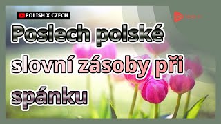 Poslech polské slovní zásoby při spánku | Golearn