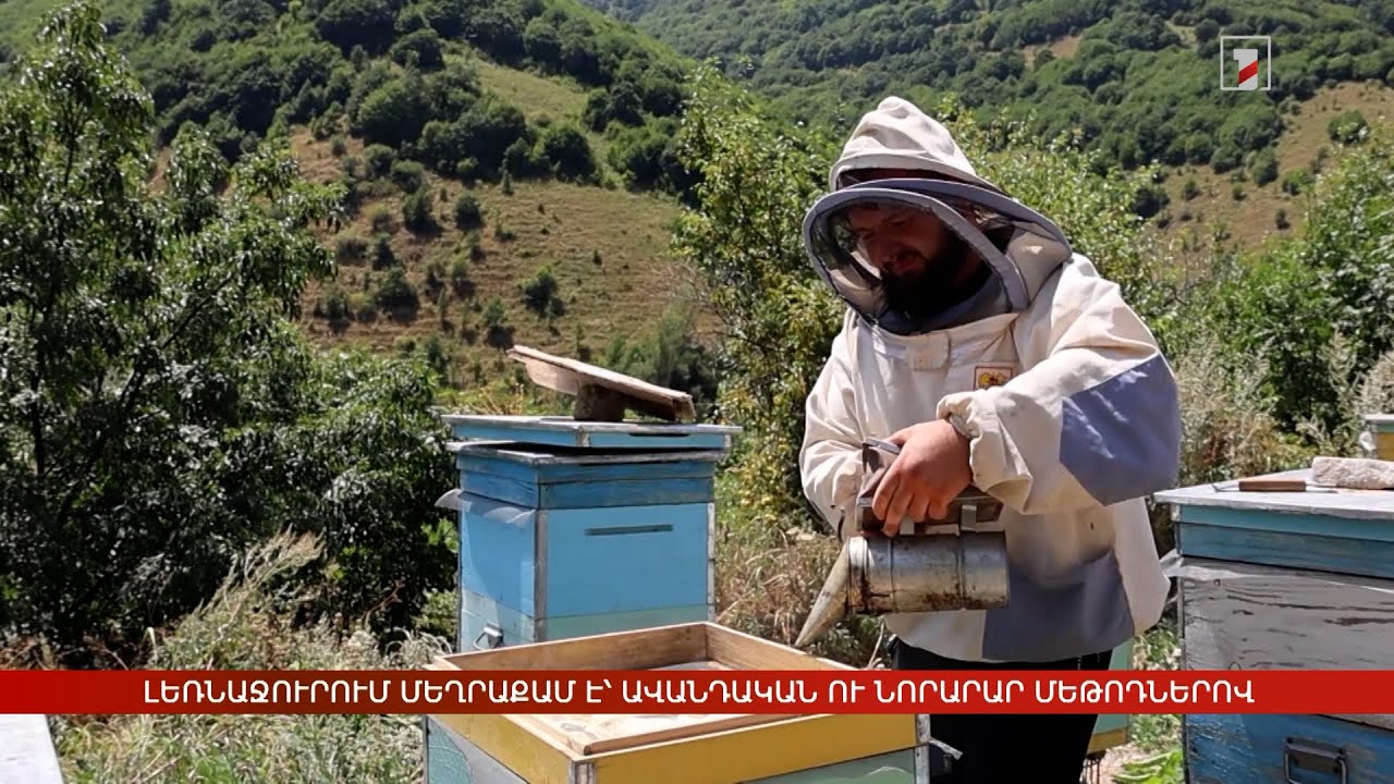 Լեռնաջուրում մեղրաքամ է՝ ավանդական ու նորարար մեթոդներով