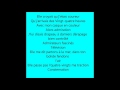 Alain Souchon Je Suis Bidon Texte Lyrics