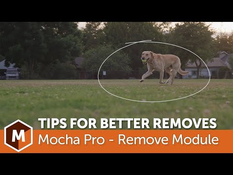 Mocha Pro: Tips for Faster, Better Object Removals