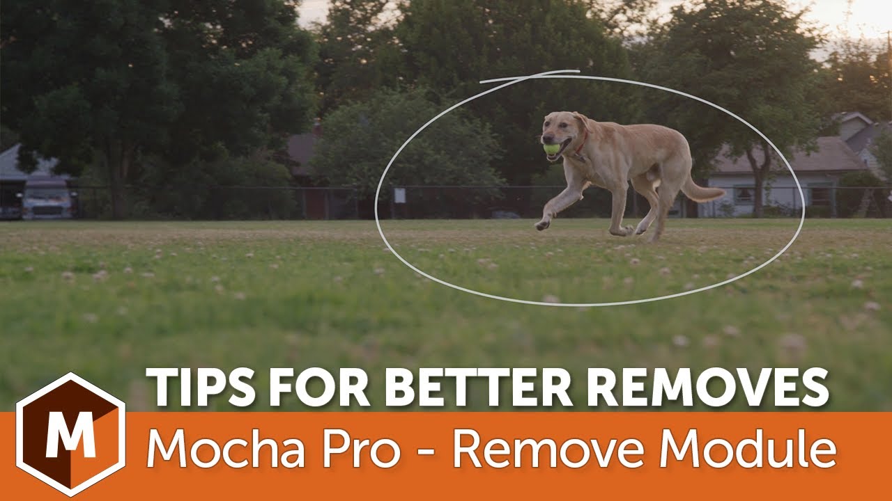 mocha pro buy mocha pro buy