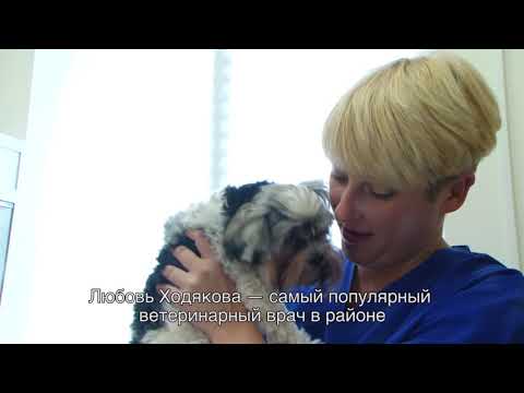 Жители района "Кошелев" любят животных