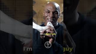 Mike Tyson How Did Boxing Come In