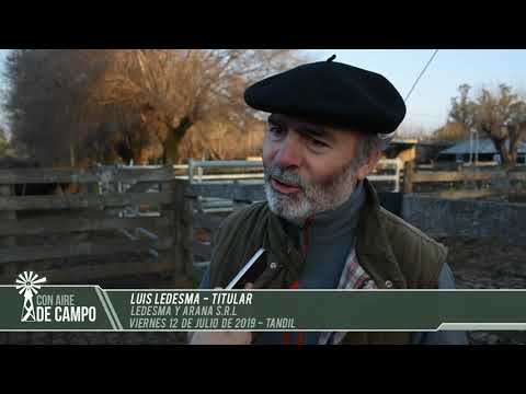 Luis Ledesma - Ledesma y Arana SRL - Viernes 12 de Julio de 2019 - Tandil