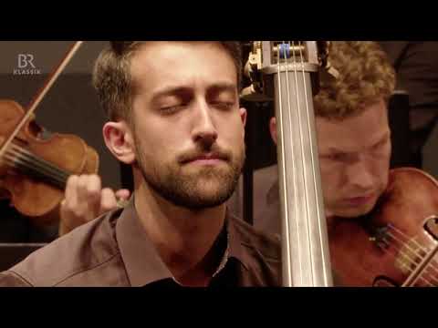 Vanhal Double Bass Concerto in D Major | José Trigo