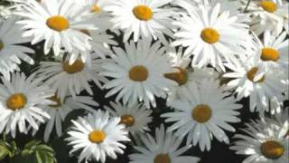 Fred Bongusto - Noi Innamorati D´improvviso