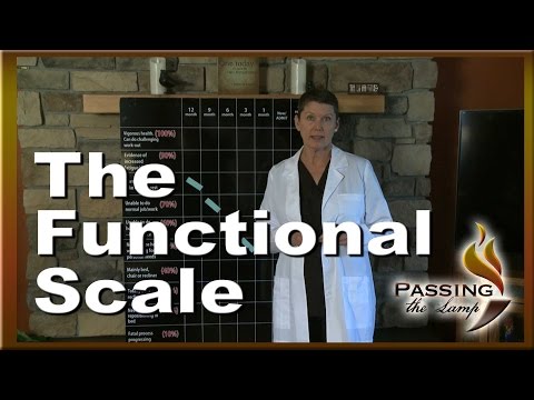 PTL01  - The Functional Scale