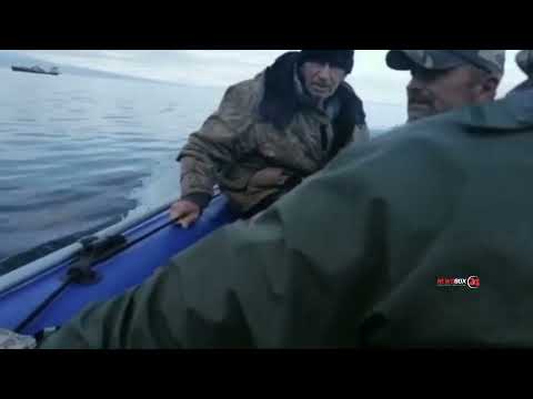 П отопить нас хочет, дура! В Охотском море косатка напала на лодку с рыбаками и чуть не потопила их.