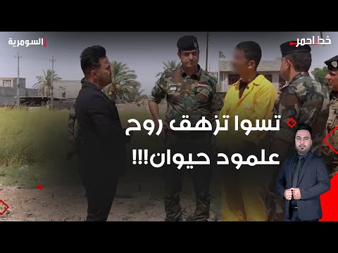 شاهد بالفيديو.. تسوا تزهق روح علمود حيوان!!!