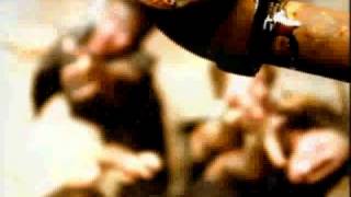 Bad Religion - 10 in 2010 - Legendado Portugues