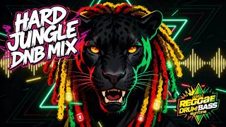 Download lagu Best Hard JUNGLE Drum and Bass Tracks for 2026 mp3