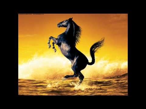 Vasyl Junior & Cygańskie Gwiazdy- ( Cygańska Zabawa ) Hopa Hopa ,