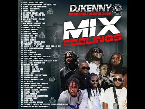 DJ KENNY MIX FEELINGS DANCEHALL MIXFIX NOV 2025