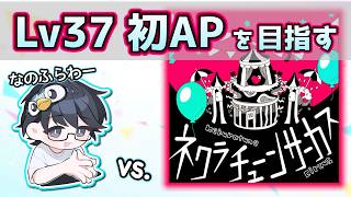 【プロセカ】"37AP持ち"を目指して！ vs. ネクラチューンサーカス(APD)【nanofLive2026】