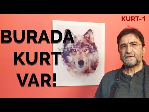 LİBYA'NIN TOZLARI TÜRKİYE'YE YAĞARSA| NİHAT GENÇ | KURT-1