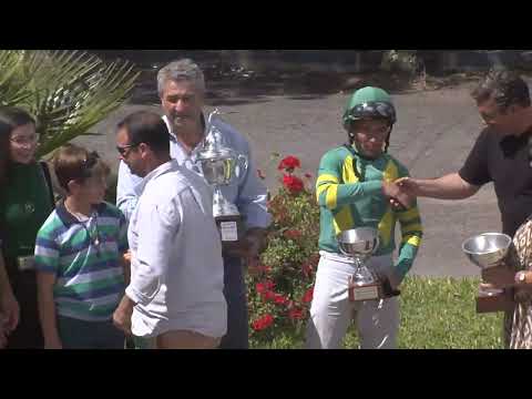 SINT PAYSANDU 251123 c07 - 1° BITTER KING