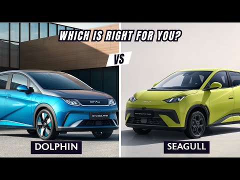 2026 BYD Dolphin vs Seagull – Full Electric Hatchback Comparison