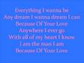 Because Of Your Love By Kenny Chesney