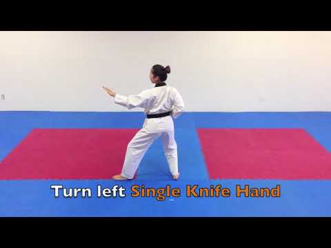 Taegeuk 3   Taegeuk Sam Jang