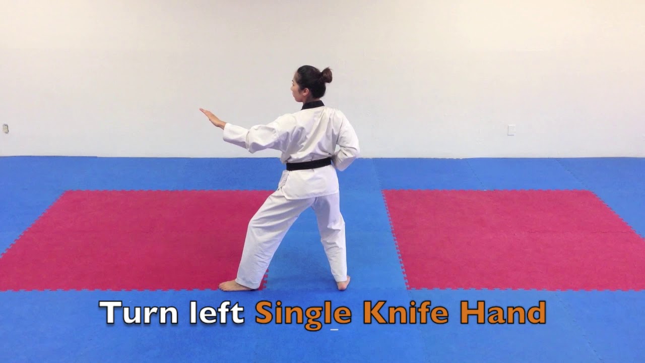 Taegeuk 3   Taegeuk Sam Jang