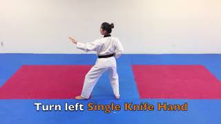 Taegeuk 3   Taegeuk Sam Jang