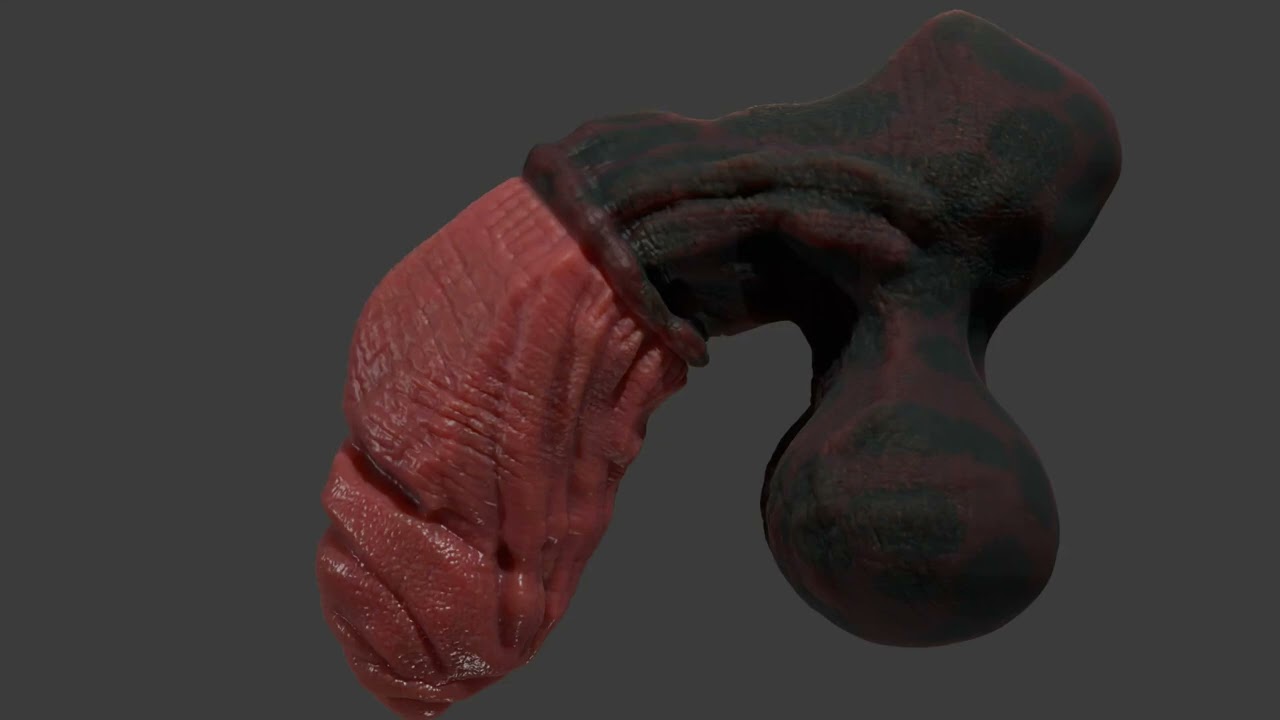 Celladon Dragon Penis Furry Sextoy Rigged 3D Model